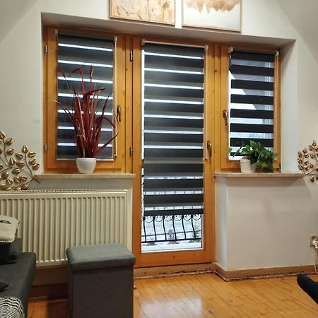 Willa Czajka - Widokowe Apartamenty 扎科帕内 外观 照片