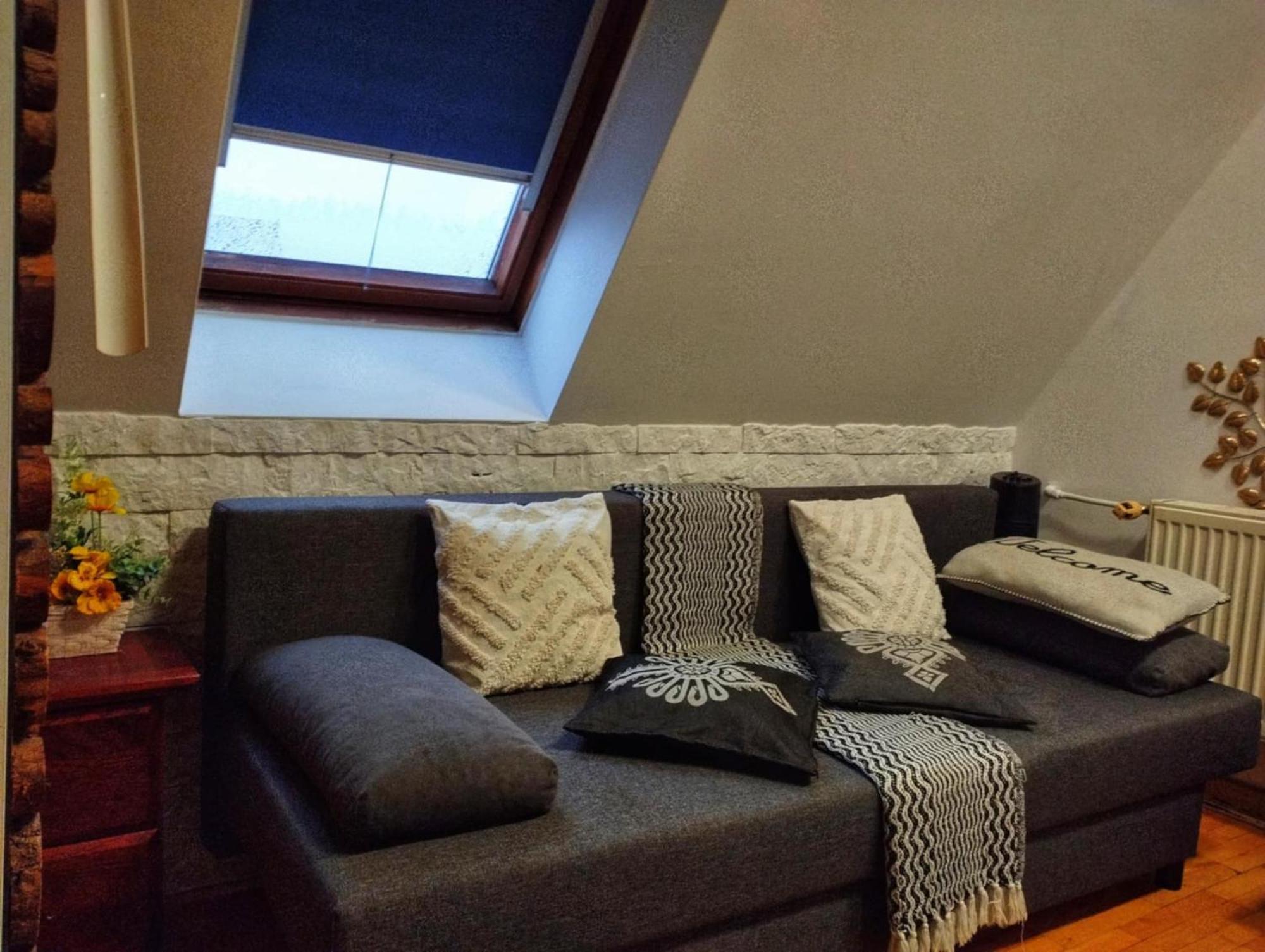 Willa Czajka - Widokowe Apartamenty 扎科帕内 外观 照片