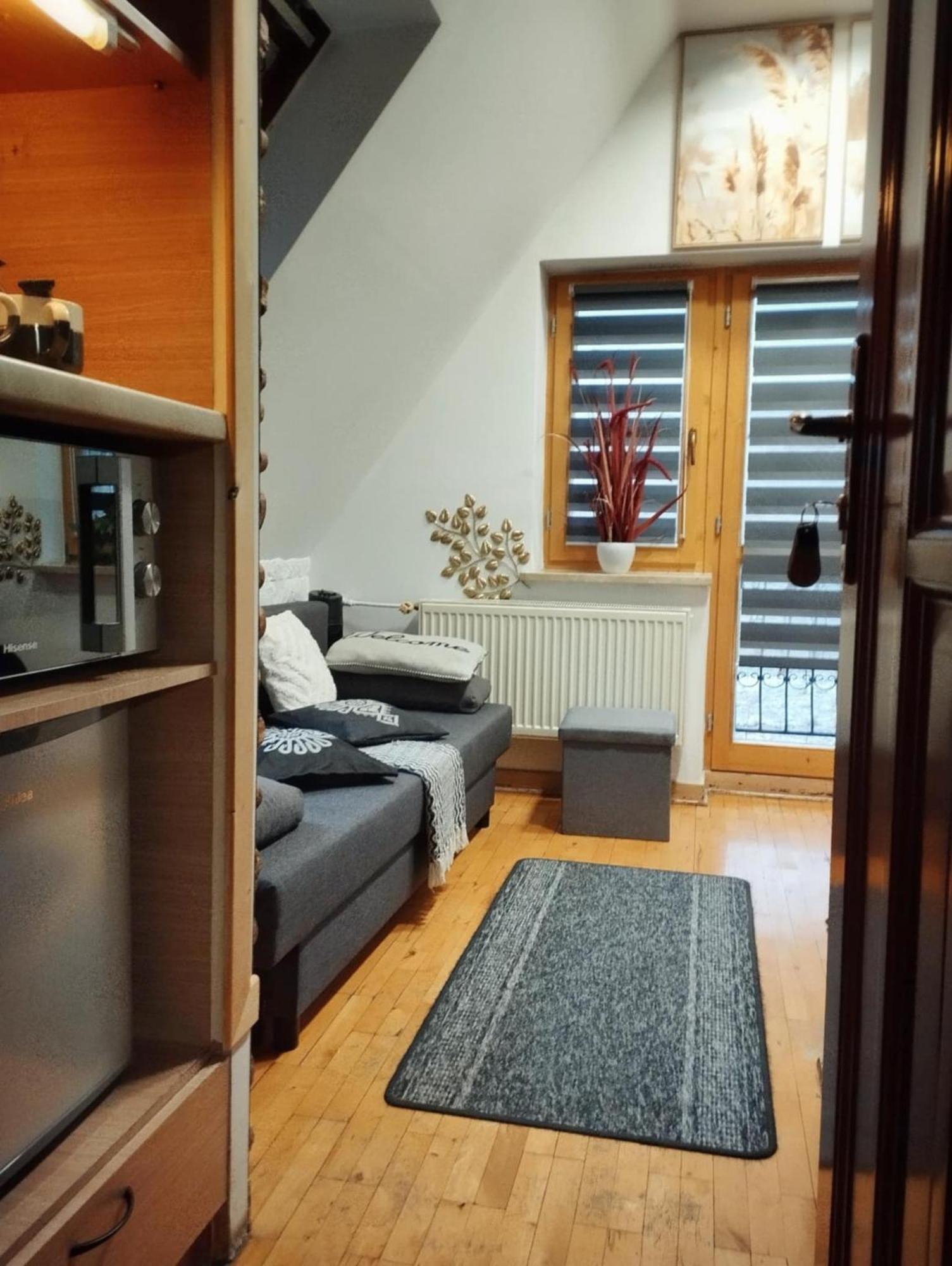Willa Czajka - Widokowe Apartamenty 扎科帕内 外观 照片