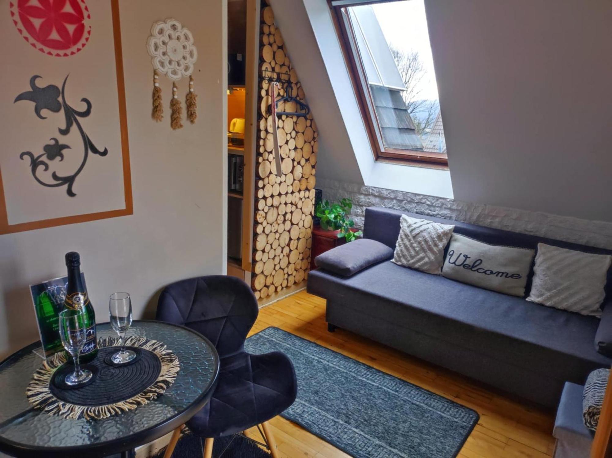 Willa Czajka - Widokowe Apartamenty 扎科帕内 外观 照片